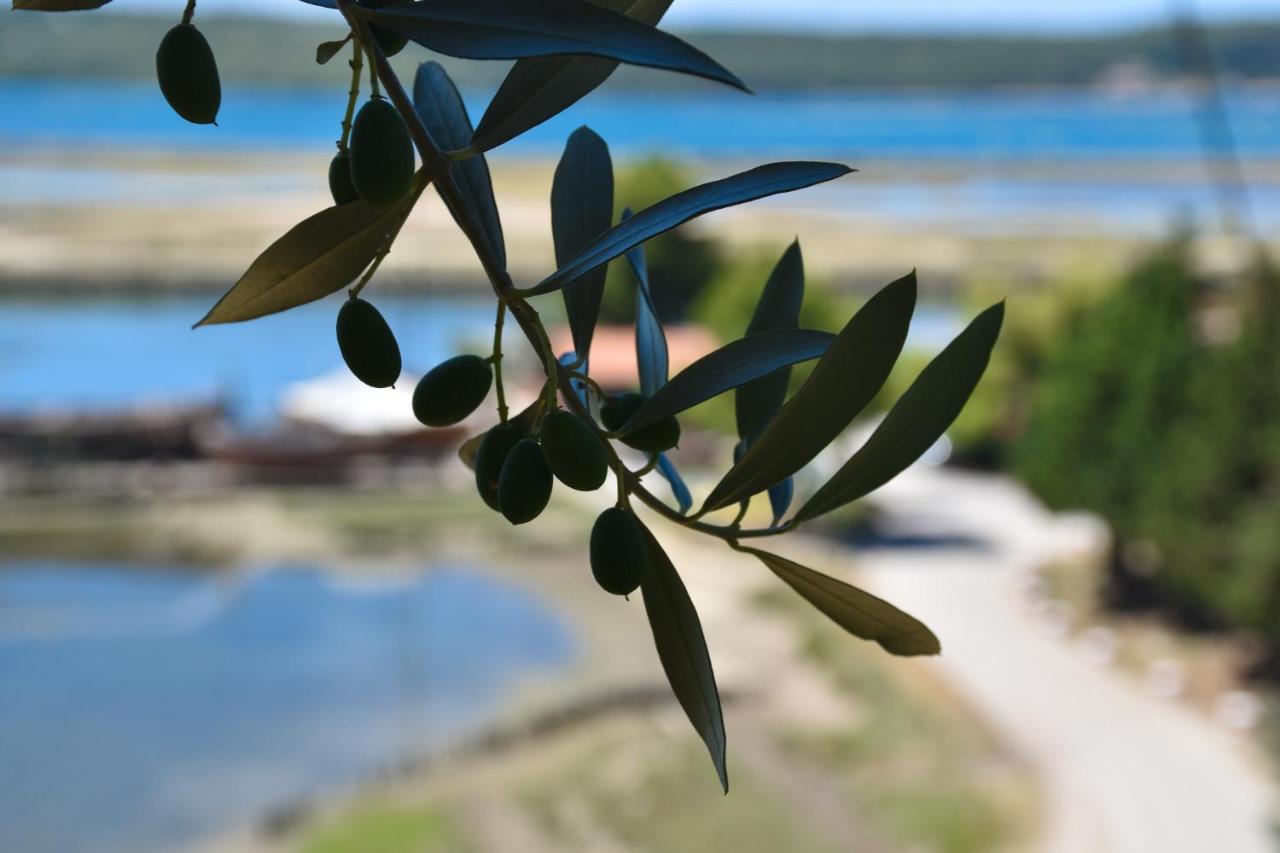 Olive Garden & Sea Apartments Portoroz Exterior foto