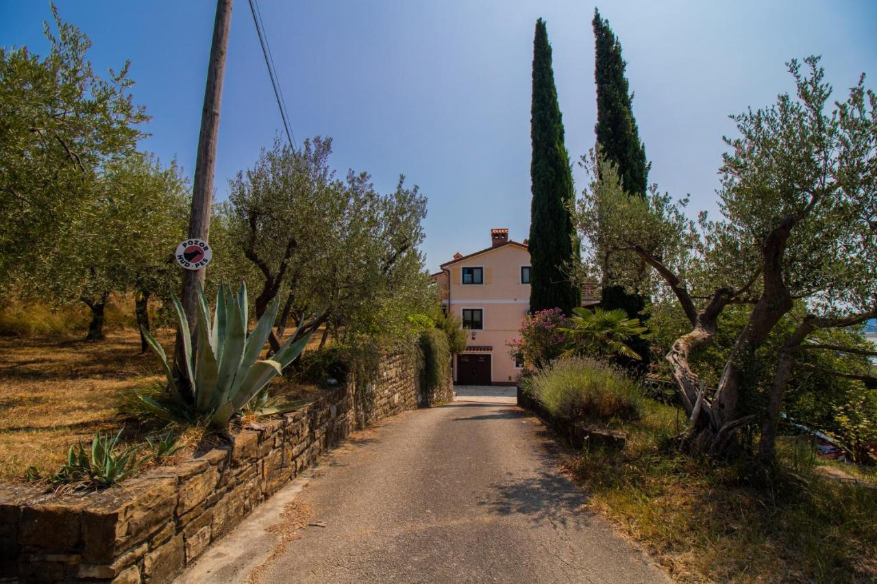 Olive Garden & Sea Apartments Portoroz Exterior foto